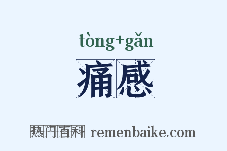 痛感是什么意思的图片